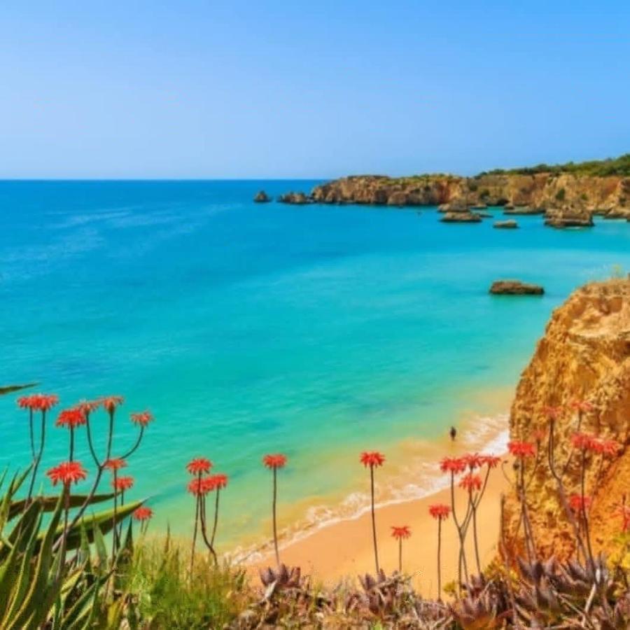 Paraiso De Alvor - A True Paradise In An Amazing Nature Place With Direct Access To The Pool - Peace And Relax - Next To Alvor Village And The Beach Dış mekan fotoğraf